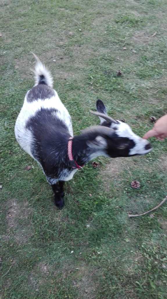 IMG-20190831-WA0018.jpg