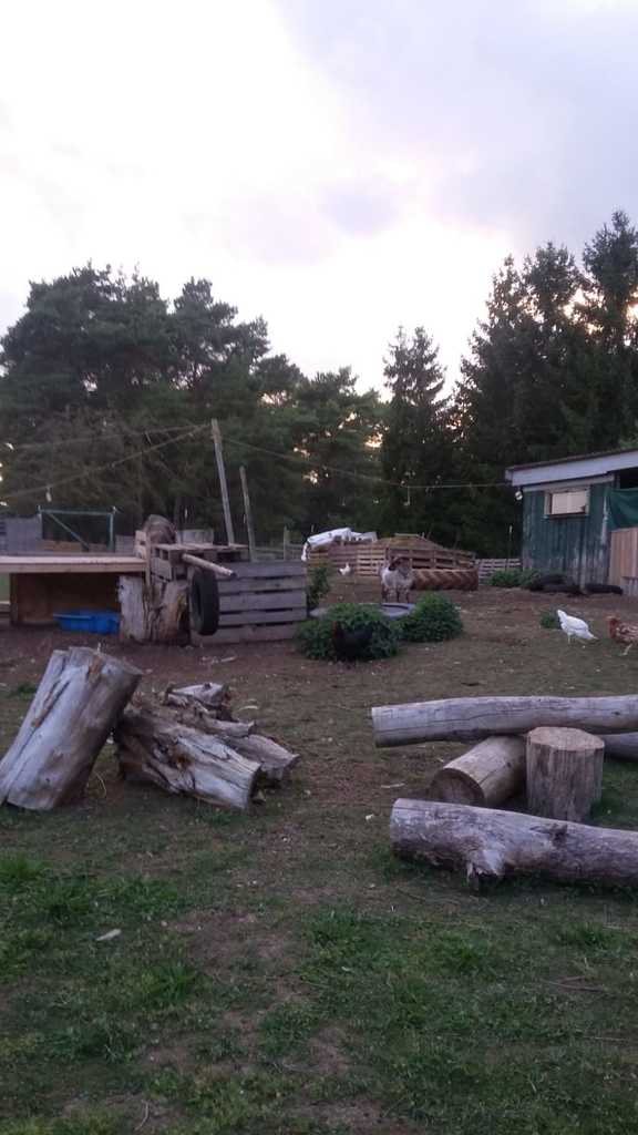 IMG-20190902-WA0003.jpg
